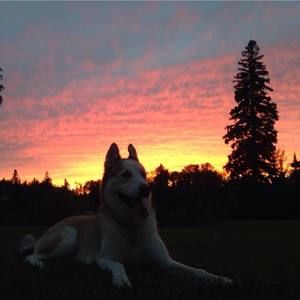 Meet your Posher, Sherri